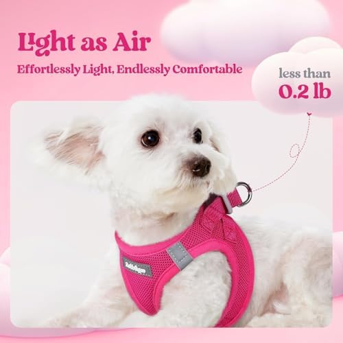 rabbitgoo Dog Harness Medium Sized and Leash Set, Step-in Puppy Pet Vest