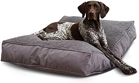 South Pine Porch Buddy Reversible Rectangle Pillow Style Microfiber and Sherpa Dog Bed with Removable, Machine-Washable Cover, Gray Sherpa, Medium (42 in. x 30 in.)