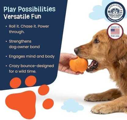 RuffRoller – Fetch Toy - Floating Dog Ball - Small - Nectar