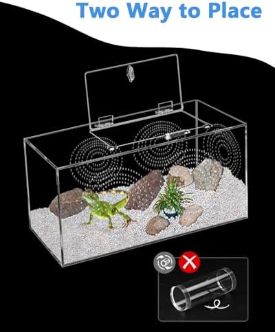 Jumping Spider Enclosure - 11.7x6x6 Inch Large Acrylic Terrarium for Tarantulas - Reptile Tank With Front Opening Door - Habitat Accessories