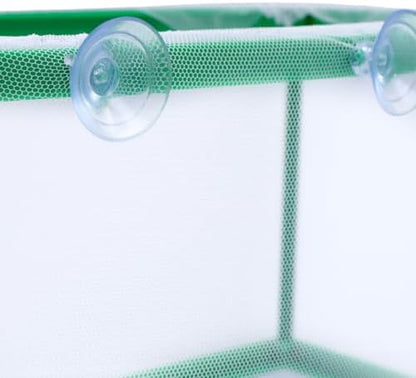 MY MIRONEY 2PCS 10.43" x 5.91" x 5.91" Fish Tank Breeder, Green
