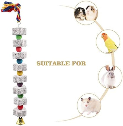 2 Pack Large Chicken Chewing Toy, Chick Beak Grinding Calcium Stone with Bells, Cage Accessories for Bird Parrot Cockatiel Parakeet Budgies Rat Hamster Rabbit Bunny African Grey Guinea Pig Chinchilla
