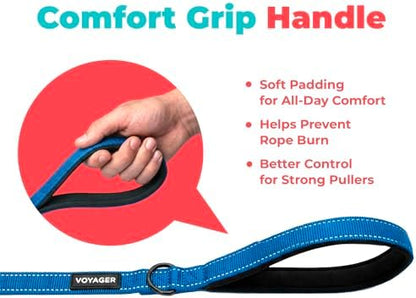 Best Pet Supplies Voyager Nylon Dog Leash - 6ft Royal Blue, Large