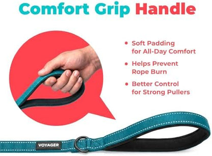 Best Pet Supplies Voyager Nylon Dog Leash - Turquoise, Large