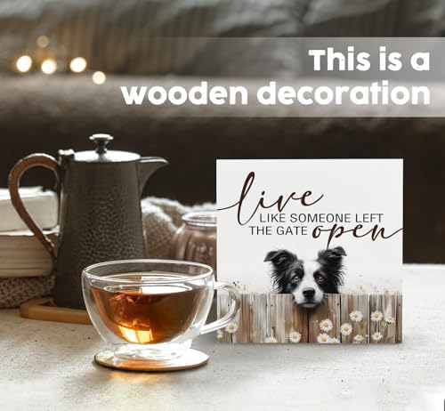 Border Collie Signs - Farm Cottagecore Animal Office Kitchen Bedroom Decor,Rustic Farmhouse Live like Someone Left the Gate Open Home Decor Wooden Signs,Border Collie Gifts for Women,6x6