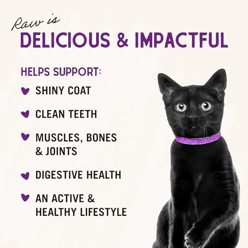 Stella & Chewy's Freeze-Dried Raw Cat Dinner Morsels - Premium Salmon & Chicken Recipe with 98% Wild-Caught & Cage-Free Protein - Natural Grain-Free Cat & Kitten Food - Made in USA - 1 oz (Pack of 2)