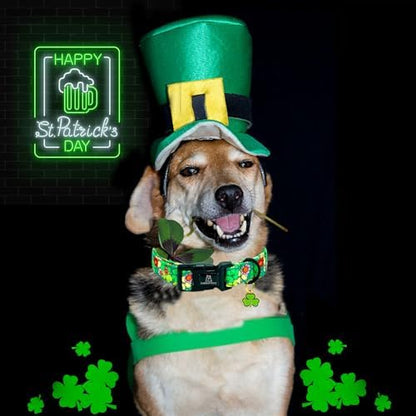 Lionheart glory St. Patrick's Dog Collar-Lucky Clover Shamrock Green Spring Trefoil Dog Collar for Small Dogs Adjustable Heavy-Duty Dogs Collars Pet Gift Female