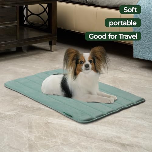 BALANCE Dog Crate Pad, Dog Foam Crate Mat Kennel Pad, Washable Water-Resistant Pet Bed Flat Dogs Cage Mat for Medium Dogs
