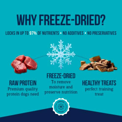 Stewart Freeze Dried Dog Treats, 100% Beef Liver, 2 oz Tub