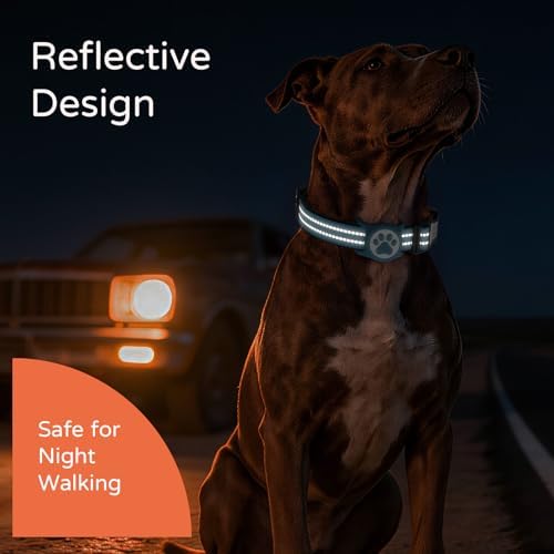 Waterproof AirTag Dog Collar with QR Code Dog Tag, Blue02 L