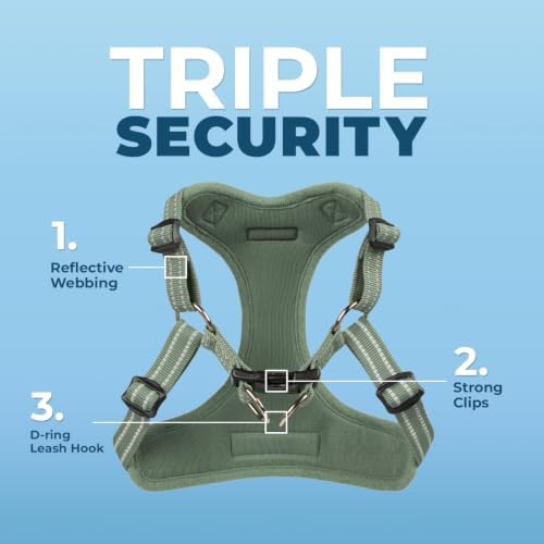 Best Pet Supplies Voyager Adjustable Step-in Flex Breathable Mesh Dog Harness for Small Medium Large Dogs Leash Set (Moss Green), M
