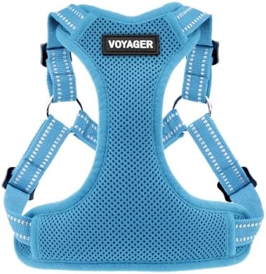 Voyager Step-in Flex Adjustable Dog Harness - Baby Blue, X-Large