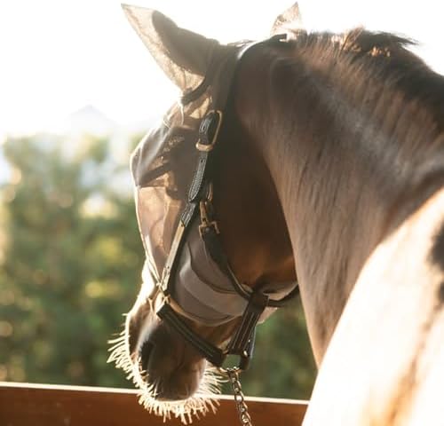 Warmblood Fly Mask with Ears, Built-in Visor, UV, Oversize
