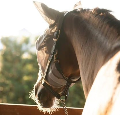 Warmblood Fly Mask with Ears, Built-in Visor, UV, Oversize