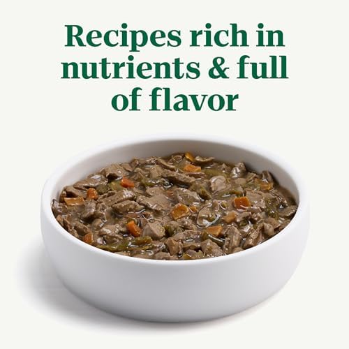 Nutro Hearty Stew Wet Dog Food, Meaty Lamb, 12.5 oz, 12 Pack