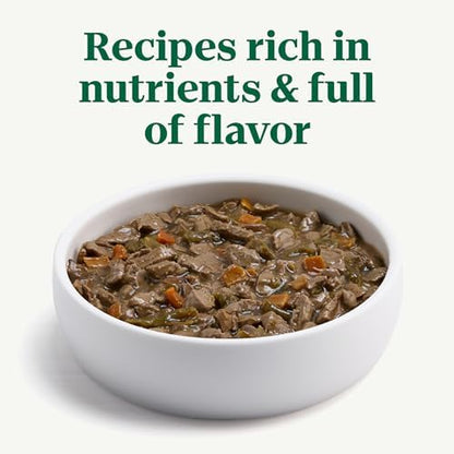 Nutro Hearty Stew Wet Dog Food, Meaty Lamb, 12.5 oz, 12 Pack