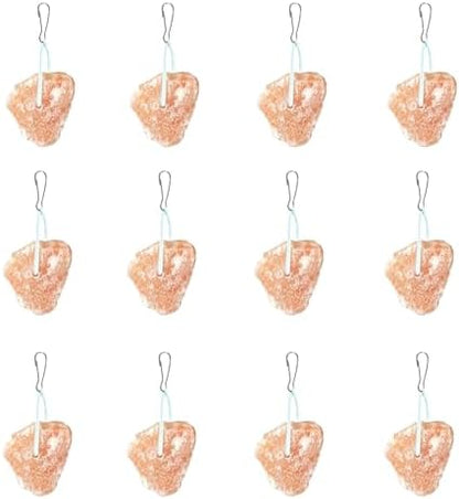 PINVNBY 12 Pieces Rabbit Himalayan Salt Lick Block,Pink Small Pets Natural Mineral Salts Blocks with Hook Hanging Small Animals Treat Chew Toys for Rabbits Horses Bunny