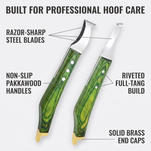 Premium Loop & Hoof Knife Set with Brass End, 9 Inch