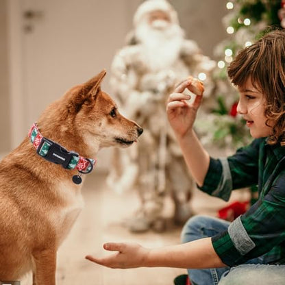 DOGWONG Christmas Cotton Dog Collar, Red Green Stripe Christmas Dog Collar Durable Soft Pet Collars Cute Red Necklace for Medium Large Dogs,L