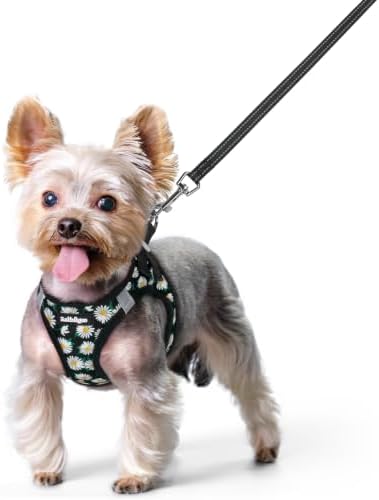 rabbitgoo Dog Harness Small Sized and Leash Set, Step-in Puppy Pet Vest