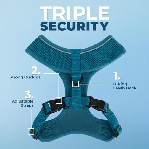 Best Pet Supplies Voyager Aerolite Over the Head Dog Harness, No Pull Breathable Air Mesh Vest, Quick Dry with Reflective Stitching, Adjustable Escape Resistant Harness - Turquoise, Medium
