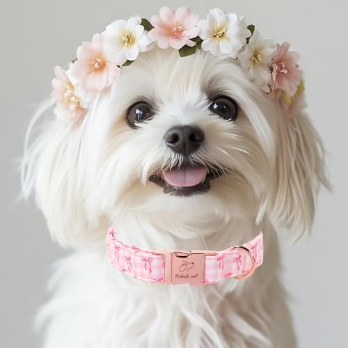 Girl Dog Collar, Sweetheart Girly Pink Bow Dog Collars, Adjustable Heavy Duty Spring/Summer Female Dogs Collar for Small Medium Large Dogs with Metal Buckle S