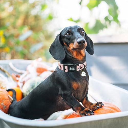 Ghost Dog Collar, Halloween Pet Collar Fall Adjustable Cute Lightweight Quick-Release Buckle Collars Holiday Puppy Collars Comfortable Cotton for Boy&Girl X-Small Dogs