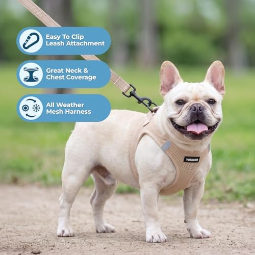 Best Pet Supplies Voyager Step-in Air All Weather Mesh Harness and Reflective Dog 5ft Leash Combo with Neoprene Handle, for Small, Medium and Large Breed Puppies - Khaki, XXXS