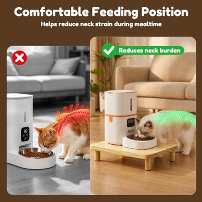 Large Elevated Cat Food Stand for Automatic Feeders, 1 Pack