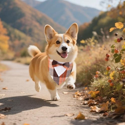 ADOGGYGO Fall Dog Tuxedo Bandana, Plaid Thanksgiving Dog Bow Tie Collar, M