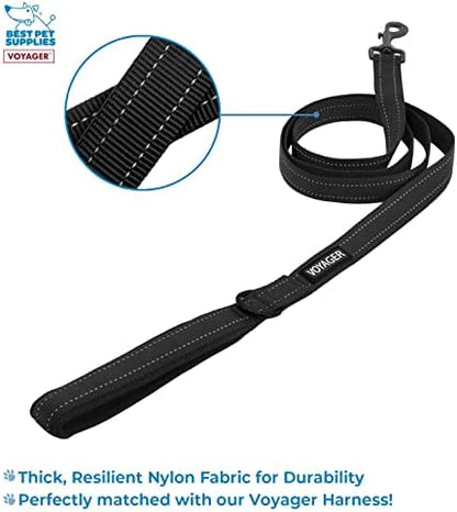 Voyager Step-in Air Dog Harness w/Leash - All Weather Mesh Step in Vest Harness for Small and Medium Dogs by Best Pet Supplies - Black, M (Pack of 2)