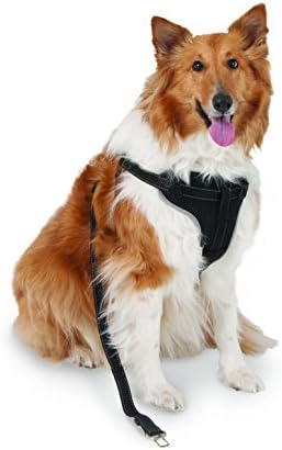 Petmate 11478 The Ultimate Travel Harness for Pets, Large, Black