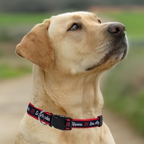 New & Improved Pets First NBA PET Collar Los Angeles Clippers Dog Collar, Size Large Basketball Team Collar for Dogs & Cats. A Shiny & Colorful Dog & Cat Collar Licensed by The NBA