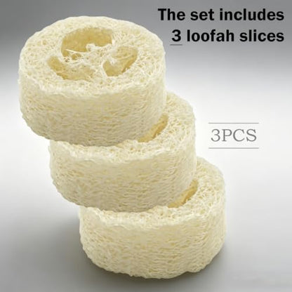 5pcs Dubia Roach Live Tree Stump Feeding Bowls & Green Bamboo Water Bowls Container with Loofah Net Set, Habitat for Dubia Roaches Live, Crickets & Springtails, Habitat Supplies