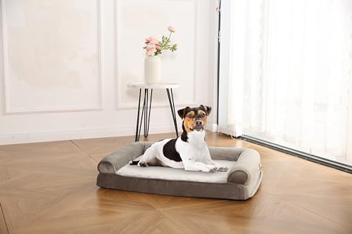 Amazon Basics Dog Bed with Premium Foam, Pressure-Relief Support for Dogs up to 30lbs, Non-Slip Bottom, Machine Washable Cover, Medium Sized (30" x 20"), Taupe