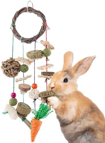 SunGrow Cage Hanging Rabbit Chew Toy, Handwoven Space-Saving Enclosure Accessory, Wooden Discs, Loofah Slices, Grass Ball & Compressed Hay, for Bunnies, Guinea Pigs, and Chinchillas, 17” x 7”, 1 Set 