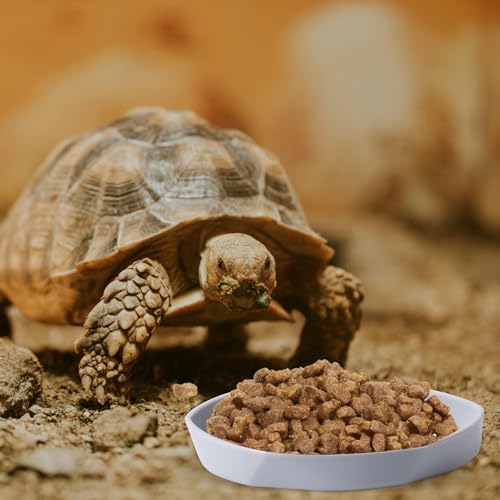 COMSUN 4 Pack Small Reptile Food Dish Bowl, Plastic Worm Water Dish Plate