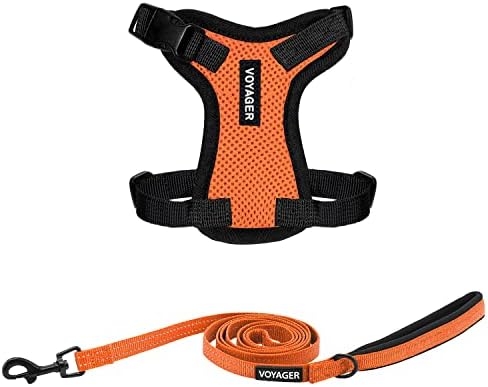 Best Pet Supplies Voyager Step-in Lock Pet Harness w Reflective Pet Leash Combo Set with Neoprene Handle 5ft - Supports Small, Medium and Large Breed Puppies/Cats - Orange/Black Trim, XXXS