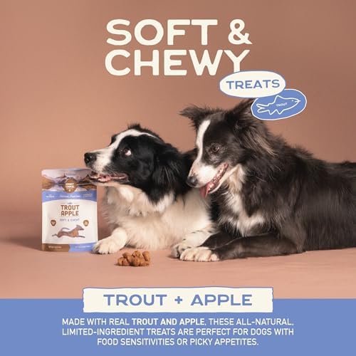 Smart Cookie Healthy Soft Dog Treats - Trout & Apple - Grain Free Limited Ingredient Training Treats for Dogs with Sensitive Stomach & Allergies, Natural Novel Protein, Made in the USA (5oz.)