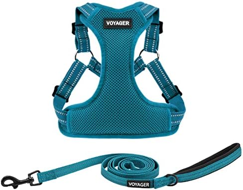 Best Pet Supplies Voyager Adjustable Step-in Flex Breathable Mesh Dog Harness for Small Medium Large Dogs Leash Set (Turquoise), M