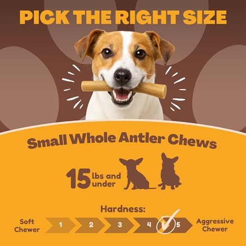 WhiteTail Naturals 12 Pack Whole Deer Antlers for Petite Dogs Up to 15 LBS