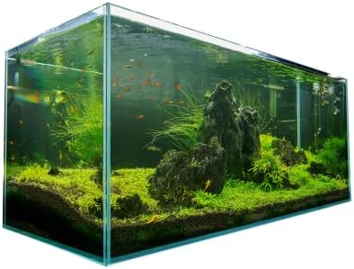 LANDEN Aquarium 120P 72 Gallon Ultra Clear Glass Rimless Fish Tank