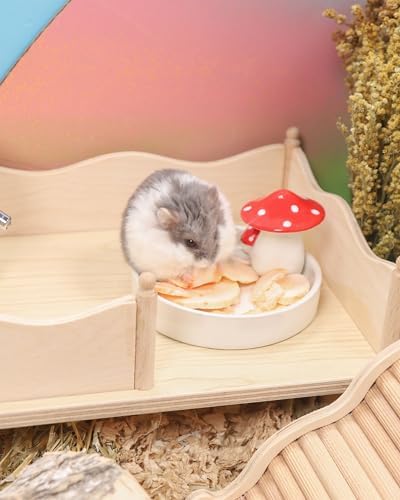 Niteangel Hamster Snack & Treats Toy - Freeze-Dried Carrots No Additive