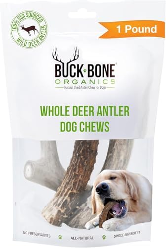 Buck Bone Organics Dog Chews, Deer Antlers for Dogs, Long Lasting Dog Bones for Aggressive Chewers, All Natural, No Preservatives, Wild Shed in The USA, Med/Large