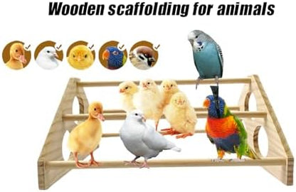 Large Wooden Pine Chick Perch Roosting Bar for Baby Chicks Brooder Coop, Chicken Training Toy Stand