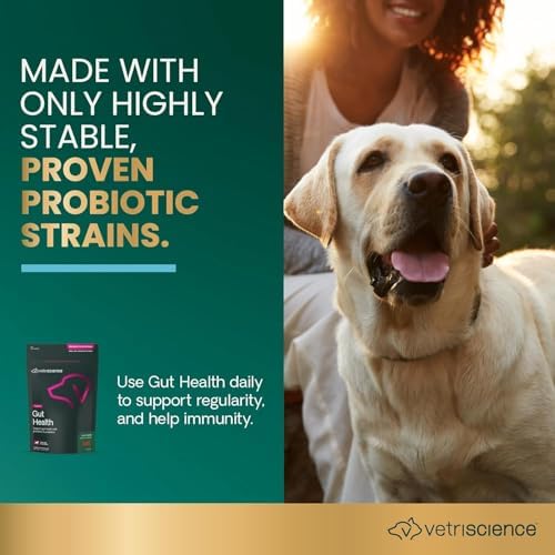 VetriScience Gut Health Chews for Dogs, Duck, 120 Count