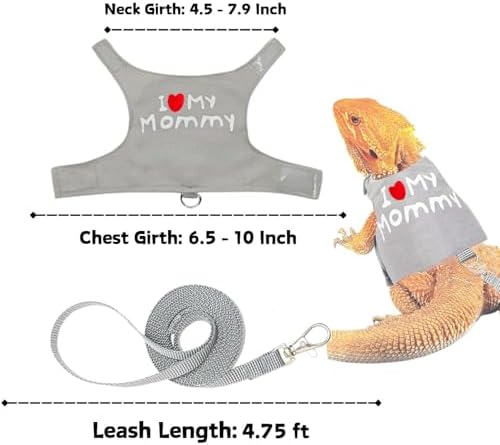 Reptile Travel Backpack Carrier with Reptile Thermometer and Humidity Gauge & Harness Leash Lizard Travel Cage Space Capsule Clear Bubble Window Astronaut Bearded Dragon Bag for Ball Python
