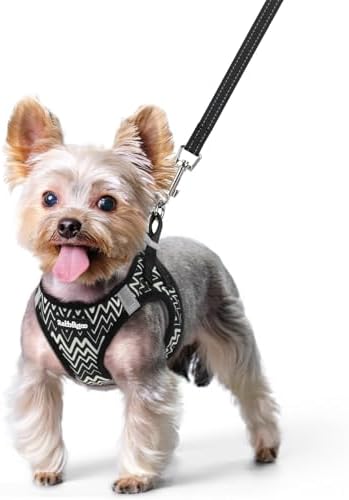 rabbitgoo Dog Harness Small Sized and Leash Set, Step-in Puppy Pet Vest