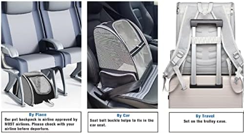 Texsens Innovative Traveler Bubble Backpack Pet Carriers for Cats and Dogs (Black)