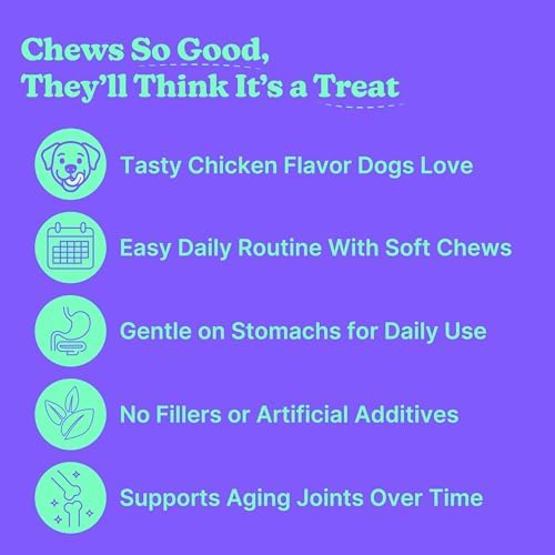 Dog Hip & Joint Chews – Advanced Joint Support Supplement for Dogs, Chicken Flavor with Glucosamine, Chondroitin & MSM, Supports Mobility, Flexibility & Comfort, 120 Count